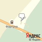 Фото Фортуна-Ойл в Малой Вишере