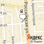 Фото Горностай в Краснодаре