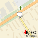 Фото Фокс в Воронеже