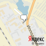 Фото Хамелеон в Тамбове