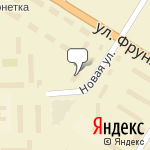 Фото Бизон в Нижней Салде