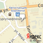 Фото Vianor в Боровичах