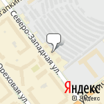 Фото Амбер в Тамбове