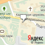 Фото Белый медведь в Перми