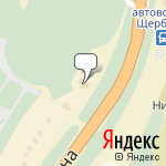 Фото Березовая роща в Нижнем Новгороде