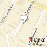 Фото Буль буль в Ханты-Мансийске