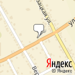 Фото Черная кошка в Курске