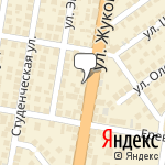 Фото Дельфин в Новосибирске