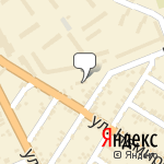 Фото Дельфин в Ростове-на-Дону