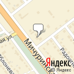 Фото Хамелеон в Тамбове