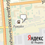 Фото Огненная лошадь в Омске