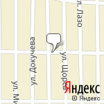 Фото Белочка в Зернограде