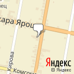 Фото Муравейник в Бузулуке