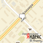 Фото Ягуар в Новосибирске