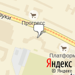 Фото Зебра в Санкт-Петербурге