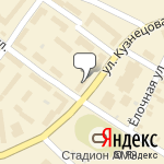 Фото Амиго в Челябинске