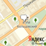 Фото Дельфин в Воронеже