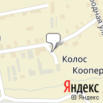 Фото Ирбис в Слободском