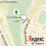 Фото Медведь в Перми