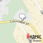 Фото Сокол в Жукове