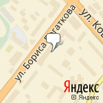 Фото Барс в Новосибирске