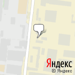 Фото Дельфин в Новосибирске